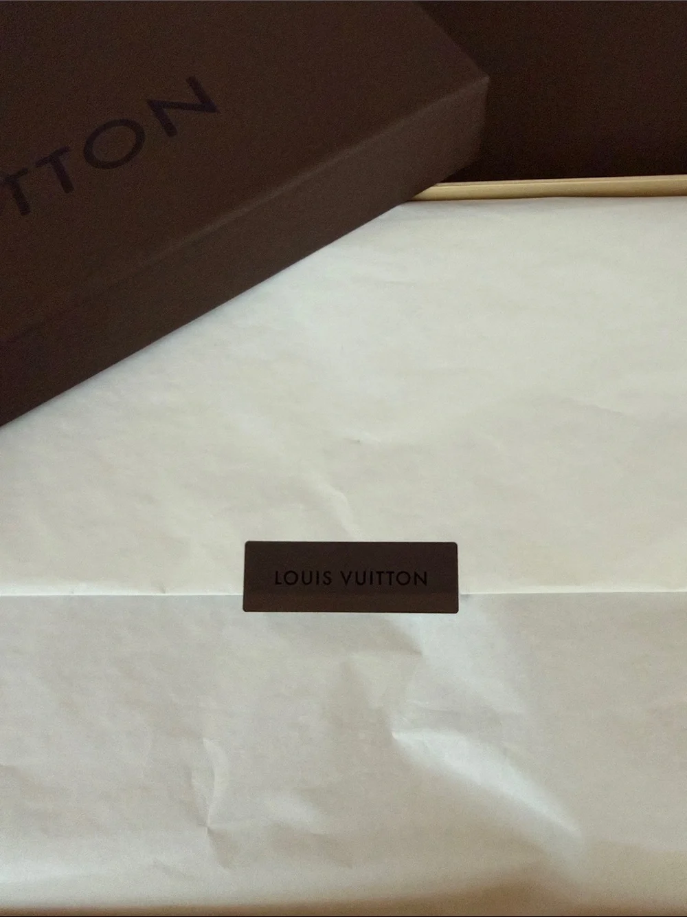 Louis Vuitton elegant louis